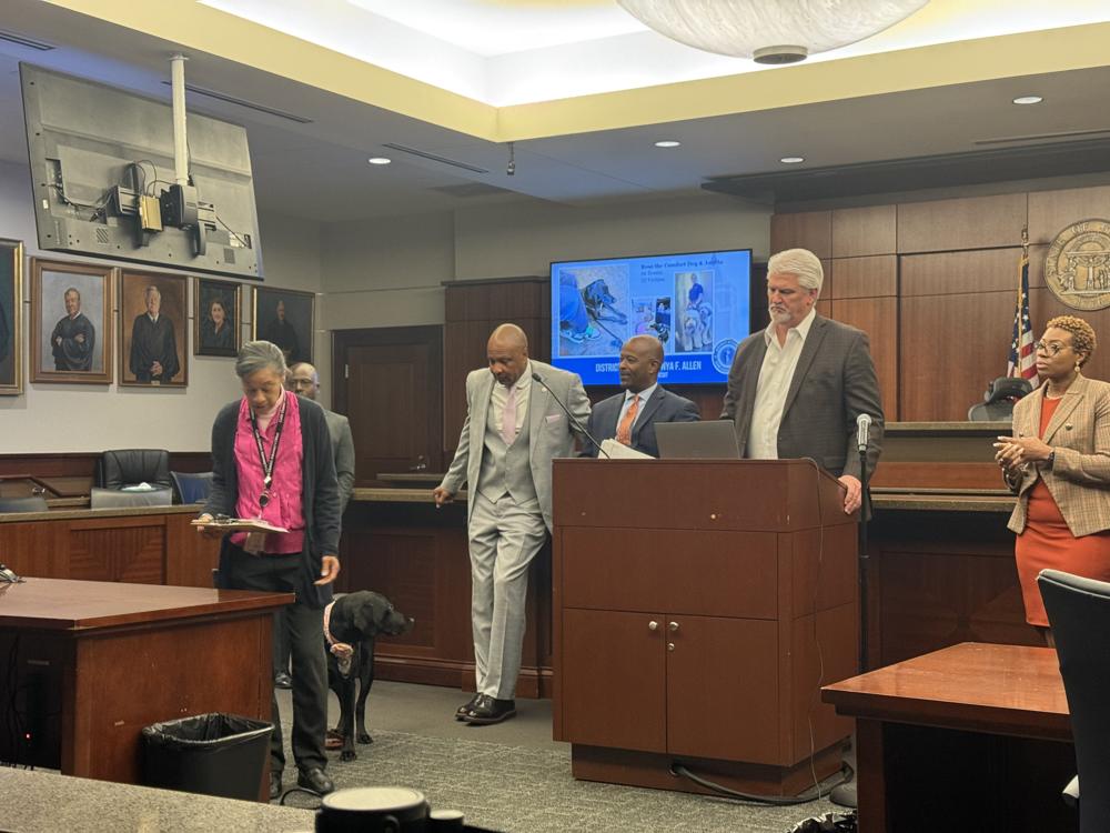 Hearing from presenters during a Cobb 101 courtroom session.